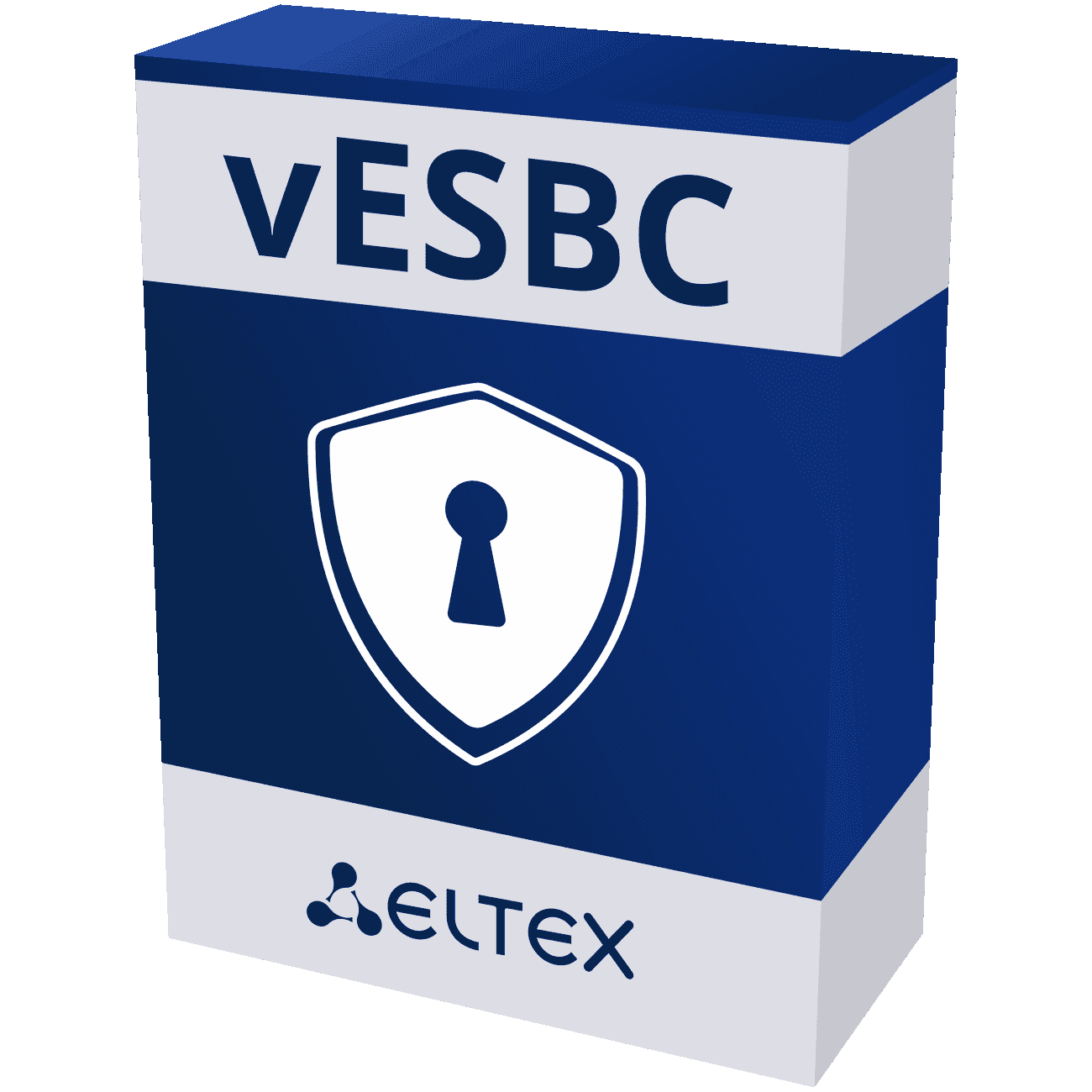 Программный пограничный контроллер сессий vESBC